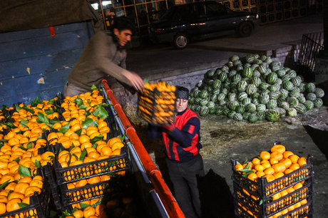 مردم نگران خرید میوه عید نباشند